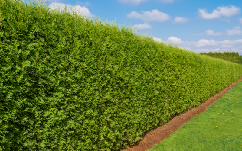 15567865-origpic-f02c74 15567865-origpic-f02c74