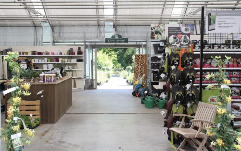 pepiniere 2 pepiniere 2